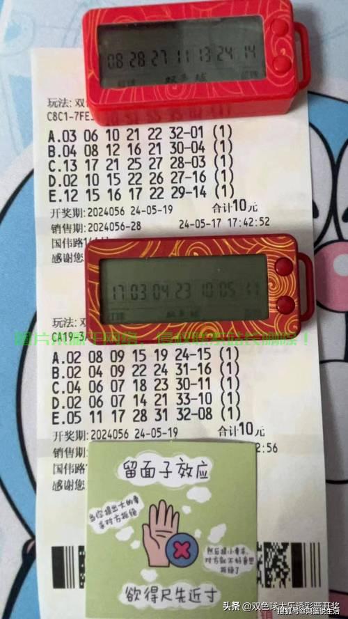 独胆真人方法周期表现探究