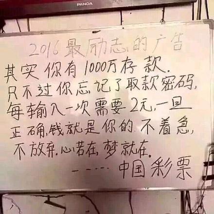六码复式在不同阶段的表现差异分析