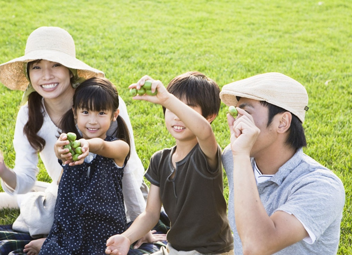 新手单打独胆的风险与策略分析，是否适合初探？